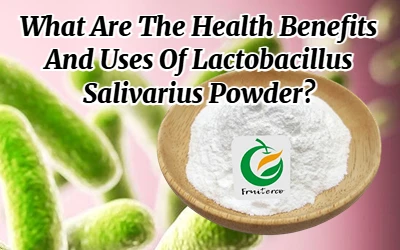 ประโยชน์ต่อสุขภาพและการใช้ผง Ligilactobacillus Salivarius คืออะไร?