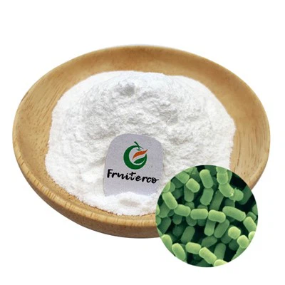 Lactobacillus fermentum โปรไบโอติก