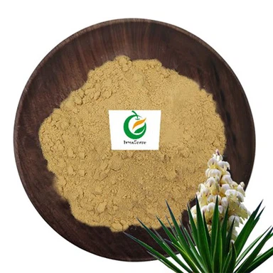 ผงสารสกัดจาก Yucca